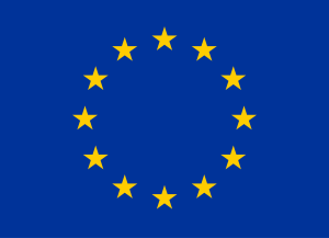 eu-regulation-services